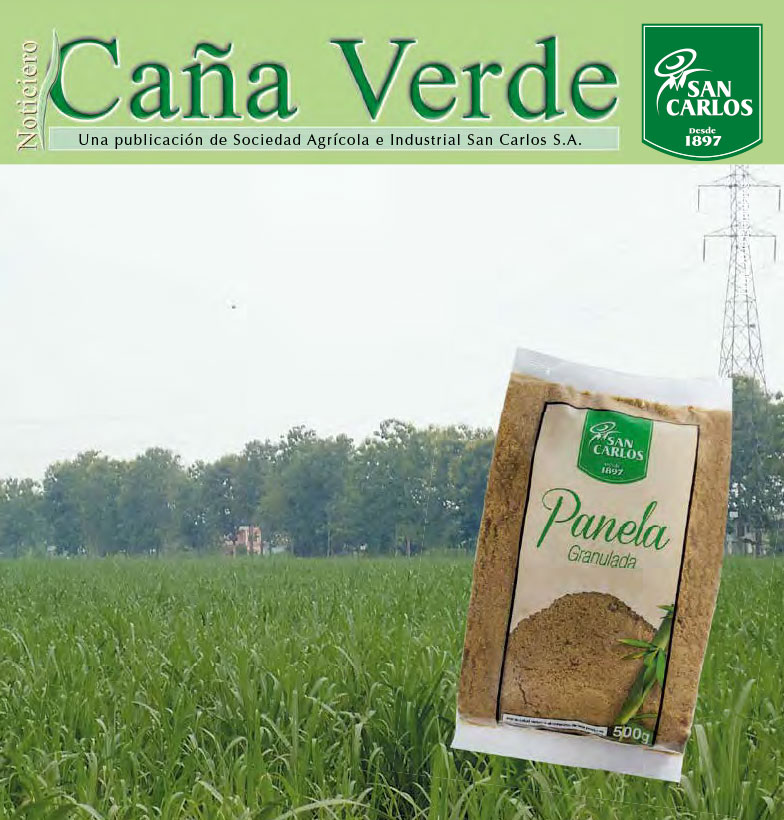 Revista Caña Verde Nov 2014