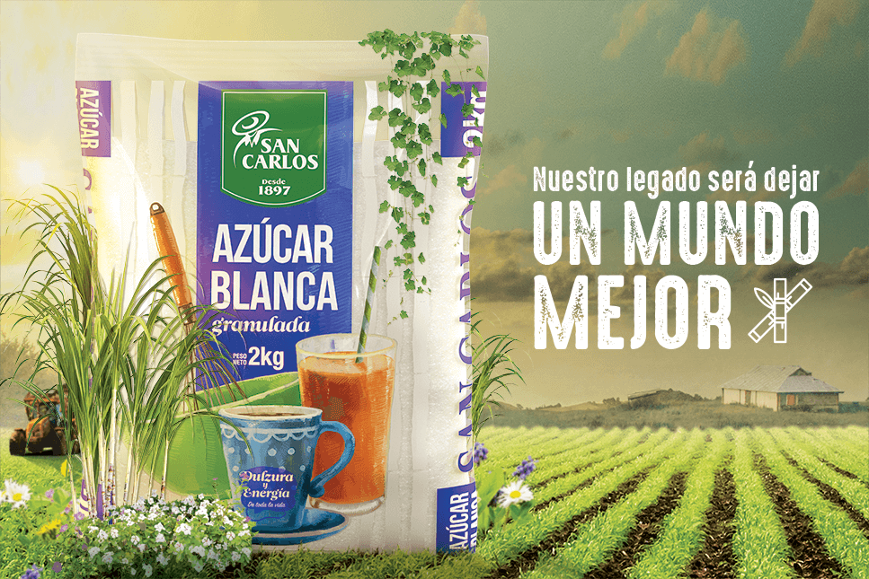 San Carlos entre las empresas con mejor percepción en el cuidado del ambiente